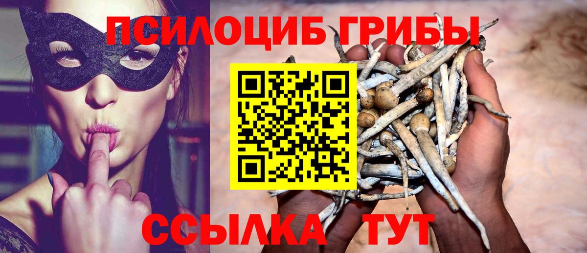 Галлюциногенные грибы Cubensis Узловая