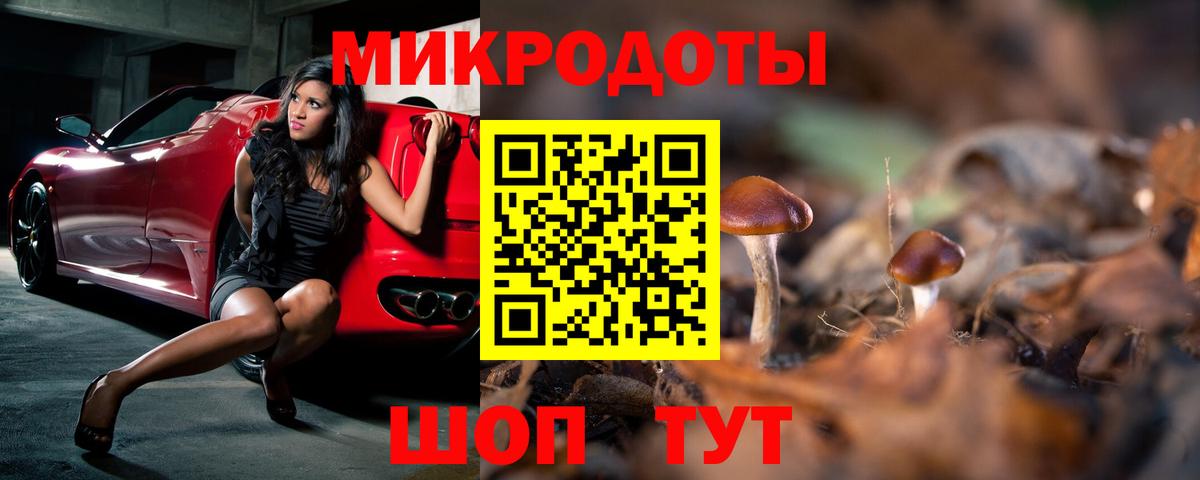 Узловая  Псилоцибиновые грибы мицелий  Вход с VPN 